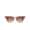 SIGNATURE SU6