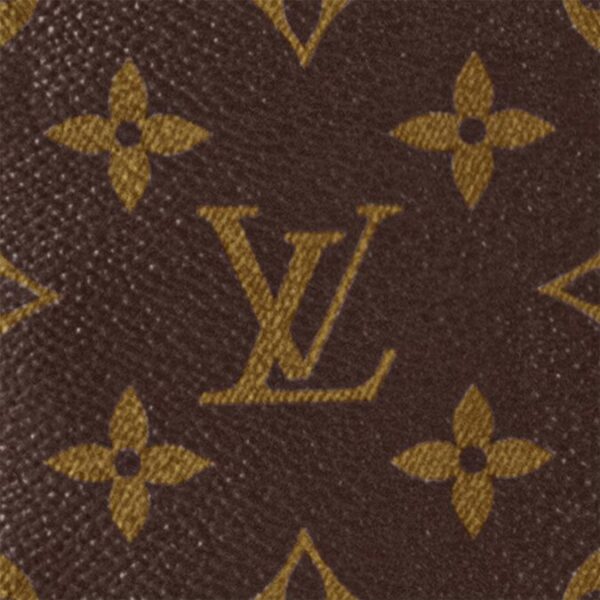 LV Backpack Monogram Brown Leather