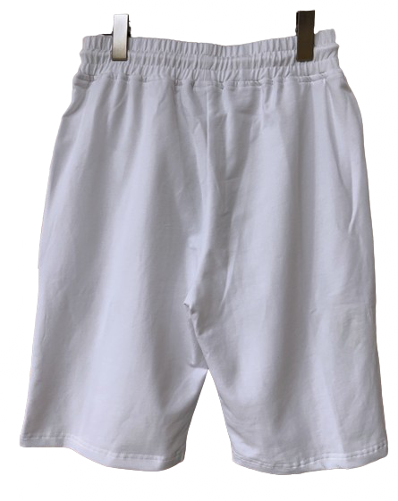 36cdd7011b412f66-removebg-preview.png DSQ2 SHORT