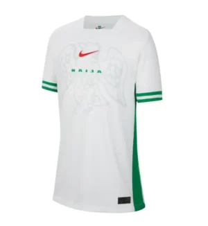 Camiseta Nigeria 24/25 1ª equipación