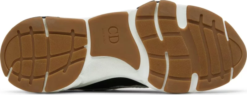 DIOR B22 ‘WHITE BLACK GUM’