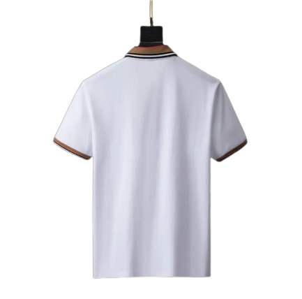 ndaksdkn-removebg-preview-removebg-preview-1.png BRBRY POLO