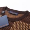 sdgdfg-6.jpg LV T-shirt Checkered Logo