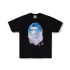 BP T-shirt Mt. Fuji Sakura Camo